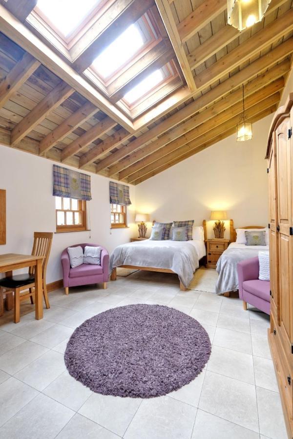 Entire Unique Tiny House - Moss Cabin Banff Bagian luar foto